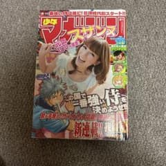週刊少年マガジン 2009年24号 ほしのあきのサムネイル