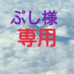音波振動電磁ブラシのサムネイル