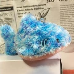 ペタンコ ジンベエザメ 携帯クリーナー付マスコット ♡ アオコ 渡辺梨加のサムネイル