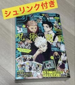 ジャンプGIGA SUMMER 呪術廻戦 2024 ジャンプギガサマー シュリ付