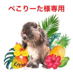ぺこりーた様用　乾燥フルーツのサムネイル