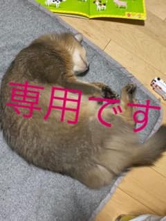 木天蓼様専用のサムネイル