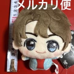 TinyTan BTS DNA 치비구루미 정국