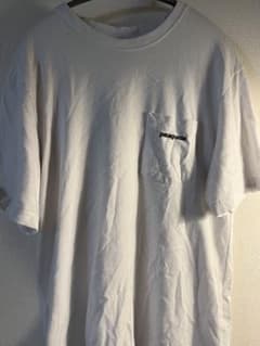 パタゴニア　tシャツのサムネイル