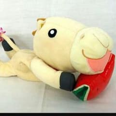 ウマゴン様専用♪コーチ コインケースのサムネイル
