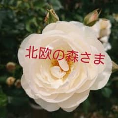 【 北欧の森 さま 】パラドゥ ミニネイル イブニングラグーン ２本などセットのサムネイル