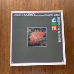 須藤昌人 刺青写真集 藍像 JAPANESE TATTOING - メルカリ