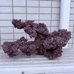 人工ライブロック　アク抜き済みのサムネイル