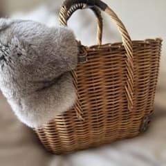 超美品♡eb.a.gos エバゴス マルシェ かごバッグ ラビットファー 袋 鏡 