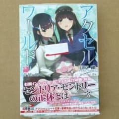 〈交渉可〉アクセル・ワールド ２４のサムネイル