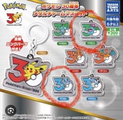 ポケモン 30周年 メタルチャームマスコット フシギバナ ゼニガメ