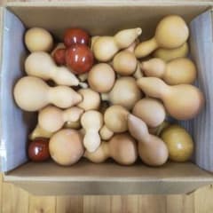 ひょうたん 43個 まとめ売りのサムネイル