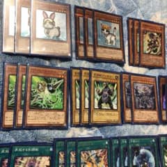 剣闘獣デッキのサムネイル