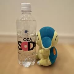 ヒノアラシ　ポケモン　ぬいぐるみのサムネイル
