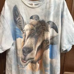 古着Ｔシャツのサムネイル
