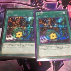 融合 シークレット２枚セットのサムネイル