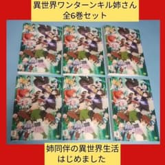 送料無料 異世界ワンターンキル姉さん DVD レンタル落ち ケース無し