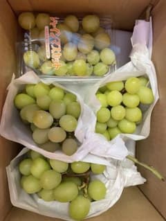 シャインマスカット 山梨県産 箱込み約2017g 自宅用のサムネイル