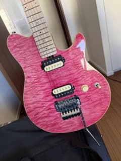 メンテ済 FERNANDES ブラッドギルス THE FUNCTION | Shop at Mercari