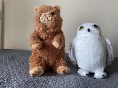 アフタヌーンティー　ぬいぐるみ　ネコ、フクロウ2個セット アフタヌーンティー ぬいぐるみ ネコ、フクロウ2個セット - メルカリ