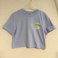 【SAND SOUND × BOYNEXTDOOR】コラボクロップスリーブ T