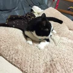 りょうさん専用のサムネイル