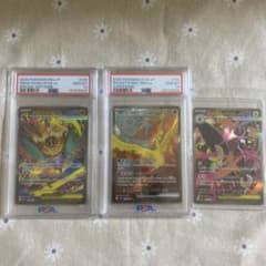 氏*様 メガルチャブルex、ロケット団のファイアex PSA10 及び
