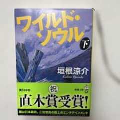 ワイルド・ソウル 下のサムネイル