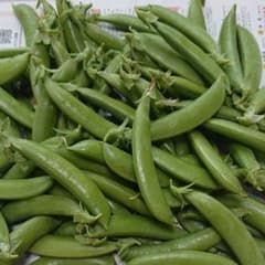 スナップエンドウ 500g 無農薬栽培のサムネイル
