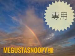 【専用】megustasnoopy様のサムネイル