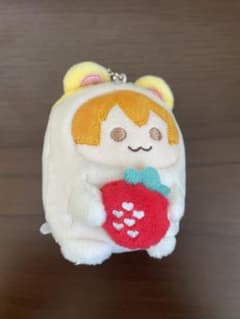 すとぷり るぅと もちもちぬいぐるみのサムネイル