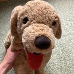 犬　ぬいぐるみ　ふわふわのサムネイル