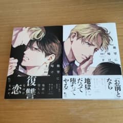 絶望に啼け 上下　紫能了のサムネイル
