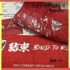 【新品未開封:おまけ付】横浜キヤノンイーグルス中綿入りスタジャン　Lサイズのサムネイル