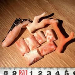 本珊瑚　ルース　ブローチ　タイピン　45.6g ㉙のサムネイル