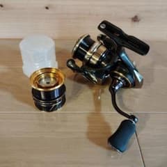Daiwa 21カルディア2500XH、 SLP WORKSスプール カスタム - メルカリ