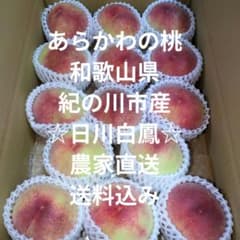 あらかわの桃☆和歌山県紀の川市産☆日川白鳳14個大玉☆農家直送☆送料 