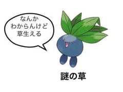 re様専用のサムネイル