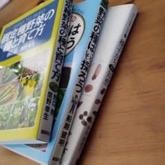 固定種野菜の種と育て方　野菜の種はこうして採ろう　種子たちの知恵のサムネイル