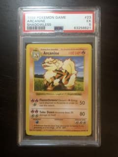 【PSA7】 旧裏 フシギダネ シャドーレス 英語 1999 ポケモンカード ポケモンカード フシギダネ 英語 1ed シャドウレス 旧裏仕様｜Yahoo