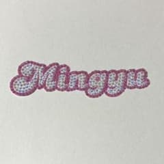 Mingyu ミンギュ SEVENTEEN うちわデコ デコうちわ パーツ - メルカリ