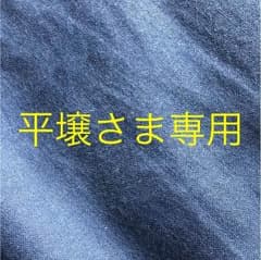 平壌さま専用ページのサムネイル