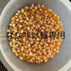 ななすけ様専用 カーターズ肌着のサムネイル