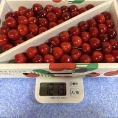 【紅王本日最終】クール便山形県産さくらんぼ やまがた紅王2Lのサムネイル
