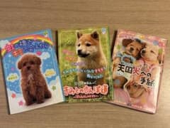 犬の物語 児童書 3冊セットのサムネイル