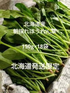 【道内発送限定】ほうれん草 2.7kgのサムネイル