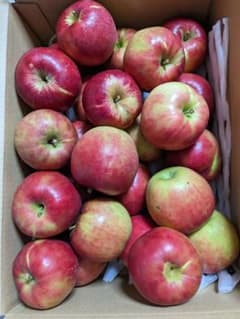 紅玉　約5kgのサムネイル