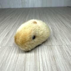 1번 복권 귀여운 카피바라씨 마스코트 봉제인형④