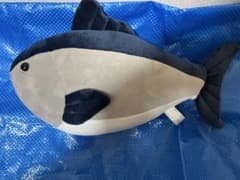 マグロくじのサムネイル