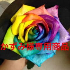 【かずみ様専用商品】紫龍バルーンワンピのサムネイル